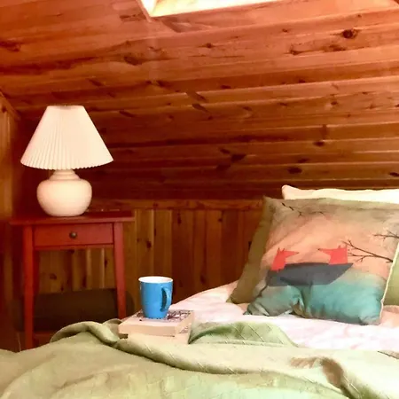 Qubalonka Saunarium Bory Tucholskie Karsin