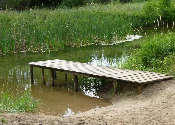 Qubalonka Saunarium Bory Tucholskie Karsin