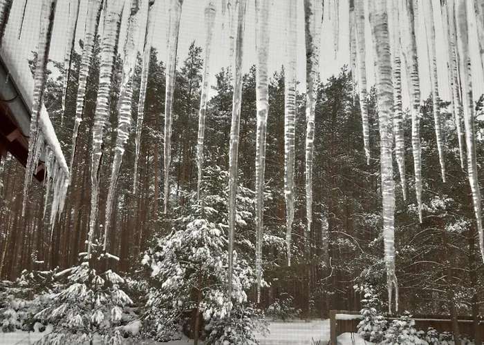 Qubalonka Saunarium Bory Tucholskie * Karsin