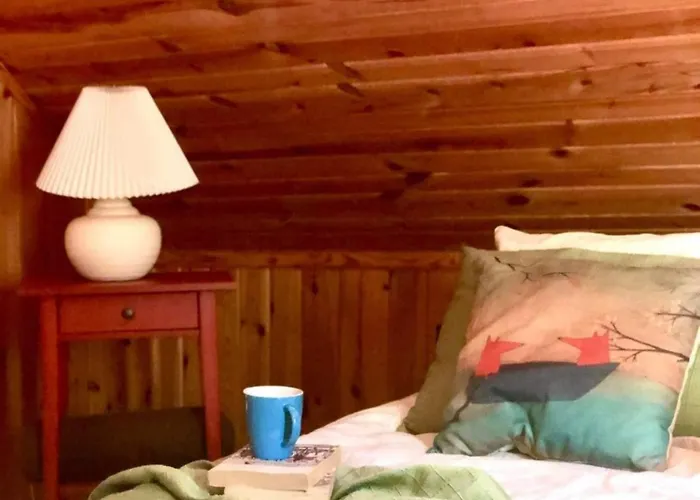 Qubalonka Saunarium Bory Tucholskie Karsin