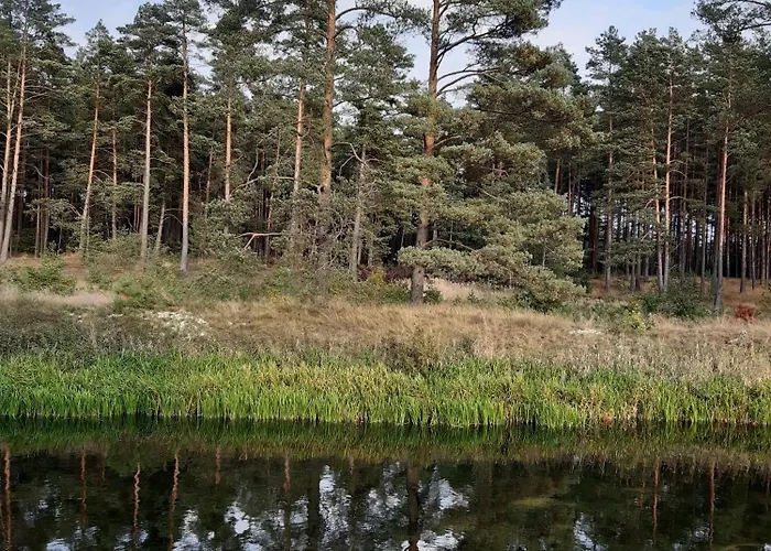Qubalonka Saunarium Bory Tucholskie Karsin